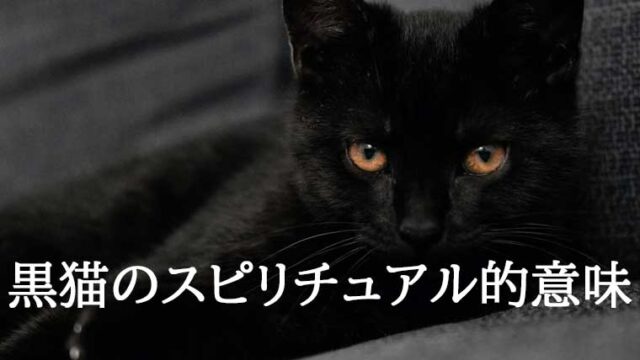 黒猫のスピリチュアル的意味