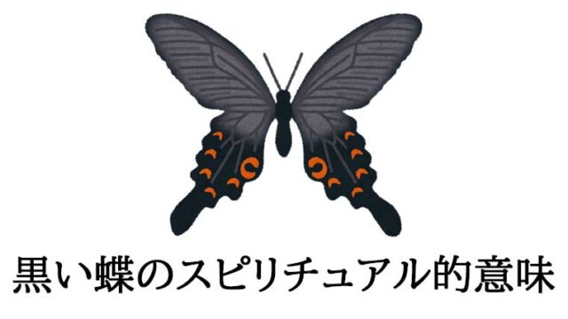 黒い蝶のスピリチュアル的意味
